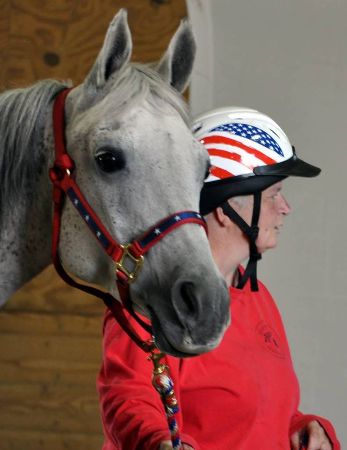 Madison DL, Arabian mare