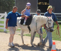 Morab Mare- LM Ark-One Shawna in a Therapeutic riding lesson.